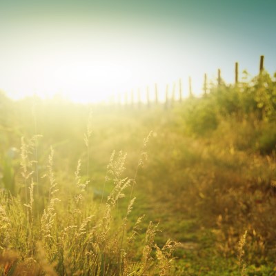 1920 x 1080 HD Wallpapers 1766